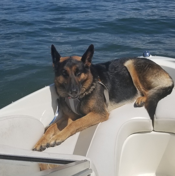 Hey!♡ Im Cat !! - Picture 5 of 16